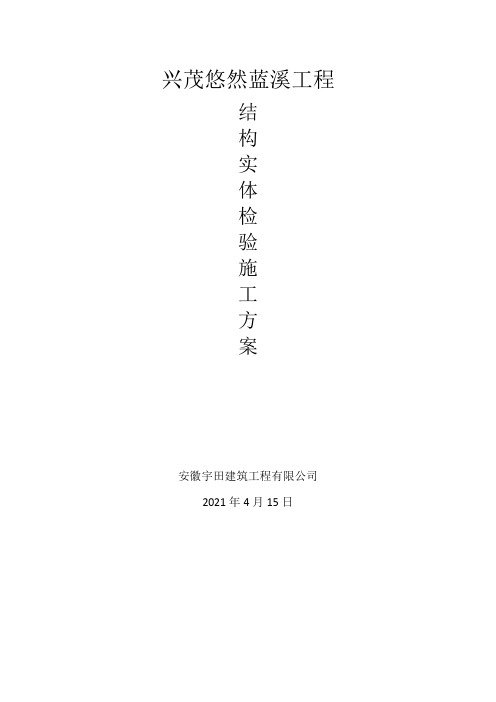 结构实体检验专项方案