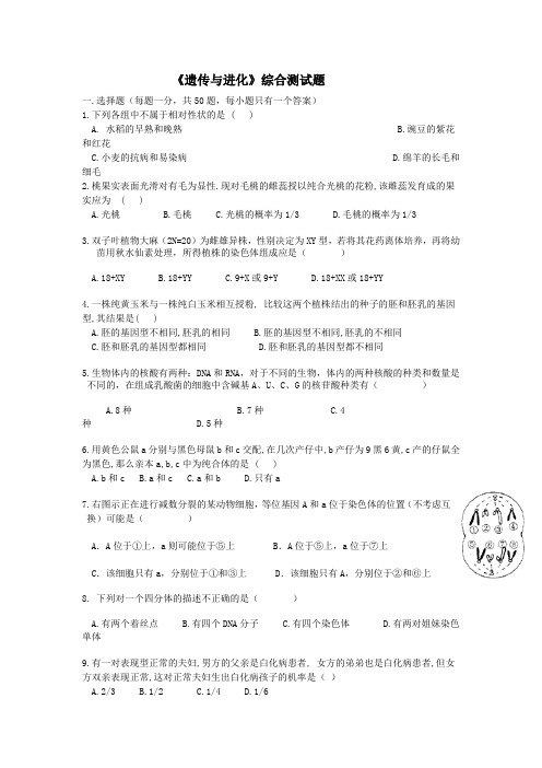 高中生物遗传与进化综合测试题总结