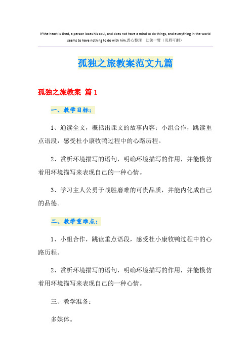 孤独之旅教案范文九篇