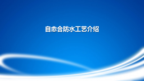 自愈合防水工艺