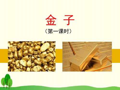 《金子》ppt课件