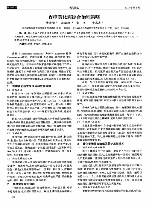 香樟黄化病综合治理策略