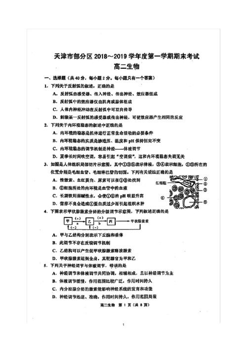 天津市部分区2018-2019学年高二上学期期末考试生物试题扫描版含答案
