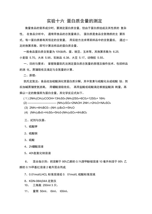 蛋白质含量测定