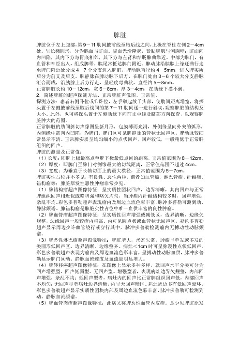 脾脏