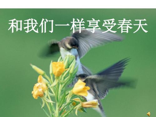 和我们一样享受春天PPT课件