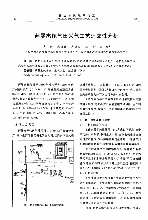 萨曼杰佩气田采气工艺适应性分析