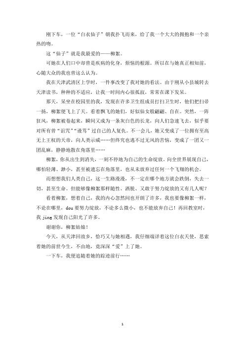 精选柳絮飘飘作文650字