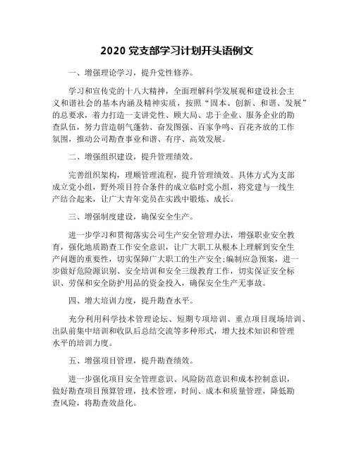 2020党支部学习计划开头语例文