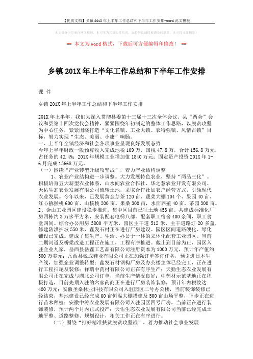 【优质文档】乡镇201X年上半年工作总结和下半年工作安排-word范文模板 (4页)