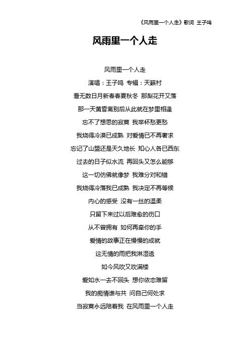 《风雨里一个人走》歌词 王子鸣