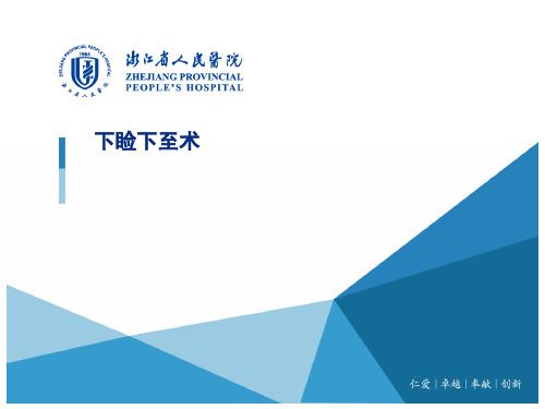 下睑下至术