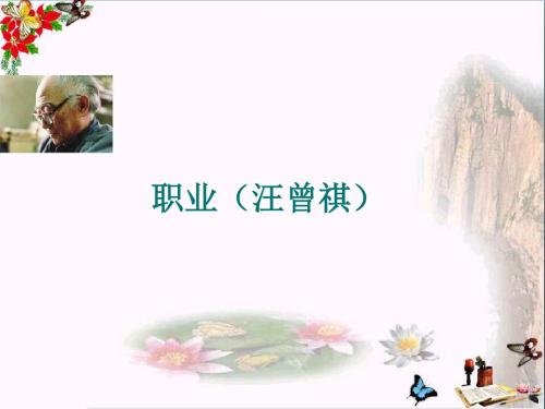 职业优秀课件1 人教课标版