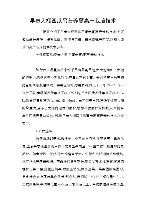 早春大棚西瓜吊营养蔓高产栽培技术