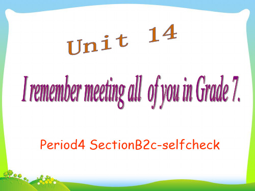 新目标九年级英语Unit14 period4课件