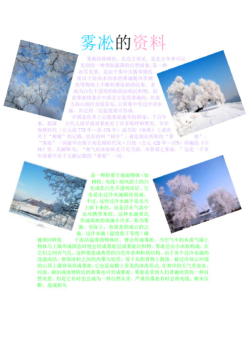 雾凇的资料