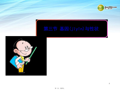 高中生物 3.2.3基因与性状课件 中图版必修2