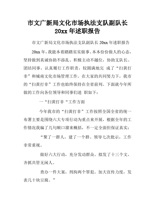 市文广新局文化市场执法支队副队长20xx年述职报告