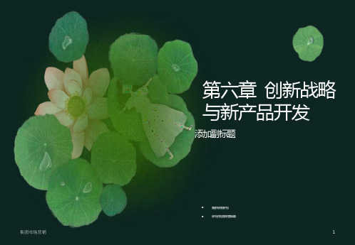 企业营销第七章新产品开发与市场营销