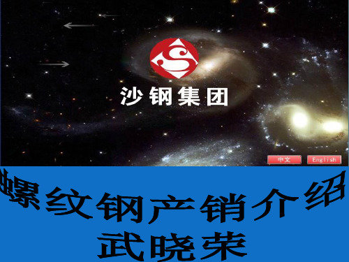 沙钢集团螺纹产销介绍 演示文稿