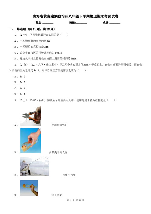 青海省黄南藏族自治州八年级下学期物理期末考试试卷