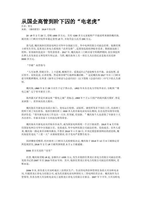 从国企高管到阶下囚的“电老虎”