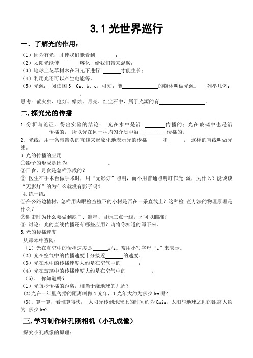3.1光世界巡行