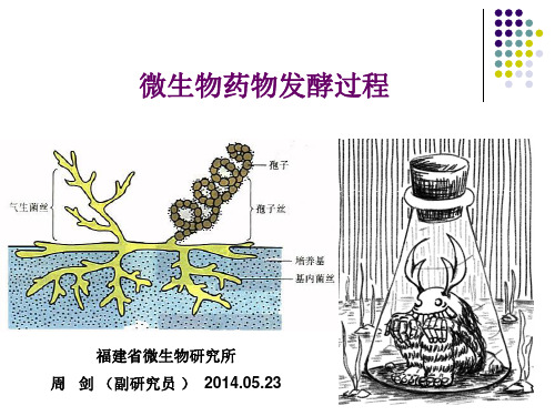 微生物药物的发酵工艺