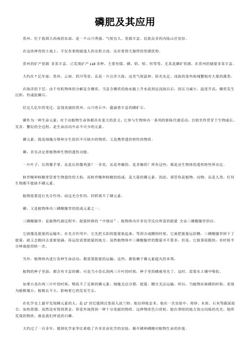 磷肥及其应用