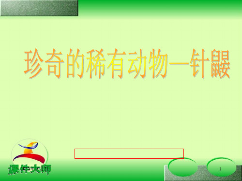 珍奇的稀有动物——针鼹ppt(语文版)七年级下册PPT课件