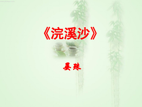  九年级语文复习课件：浣溪沙(共22张PPT)