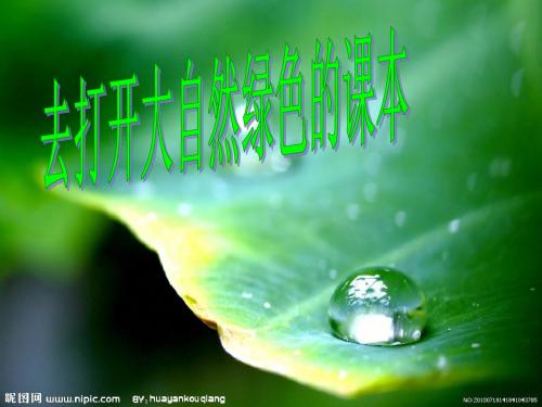 苏教版五年级语文上册《去打开大自然绿色的课本》