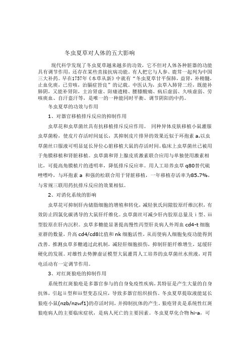 冬虫夏草对人体的五大影响