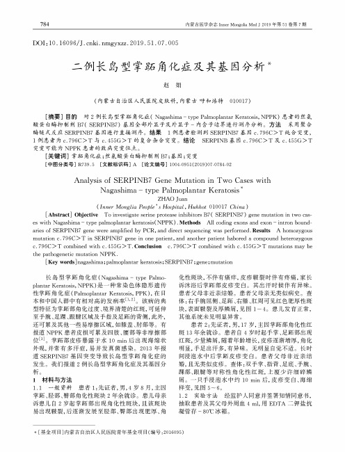二例长岛型掌跖角化症及其基因分析