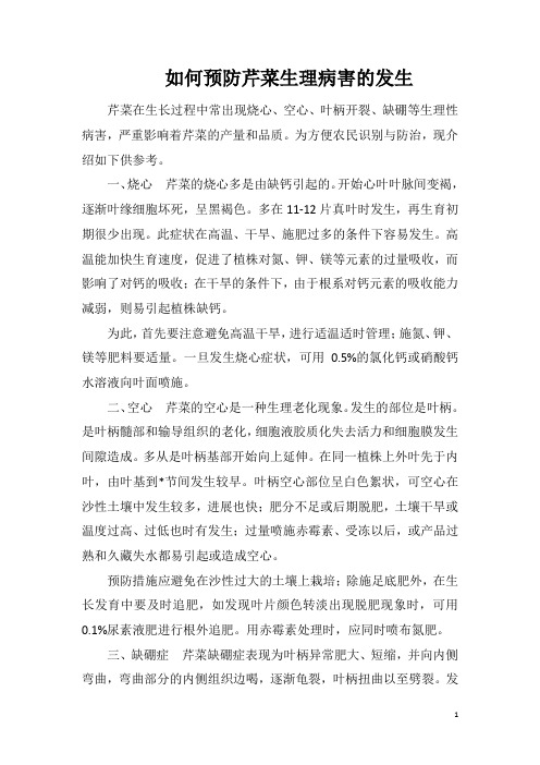 如何预防芹菜生理病害的发生