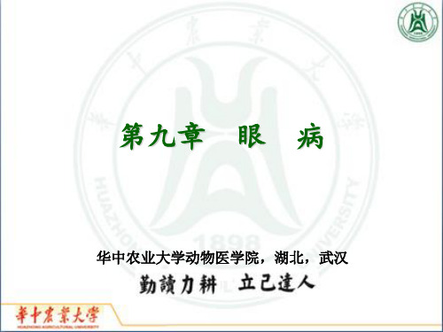 《兽医外科学》课件：第9章   眼  病