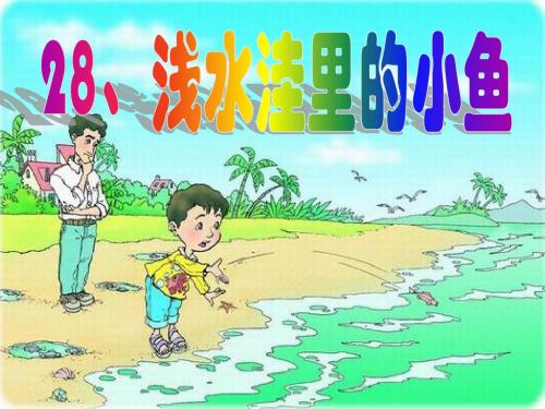 人教版小学二年级上册《水洼里的小鱼》课件