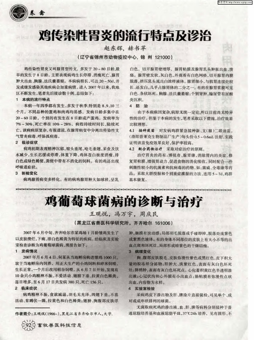 鸡葡萄球菌病的诊断与治疗