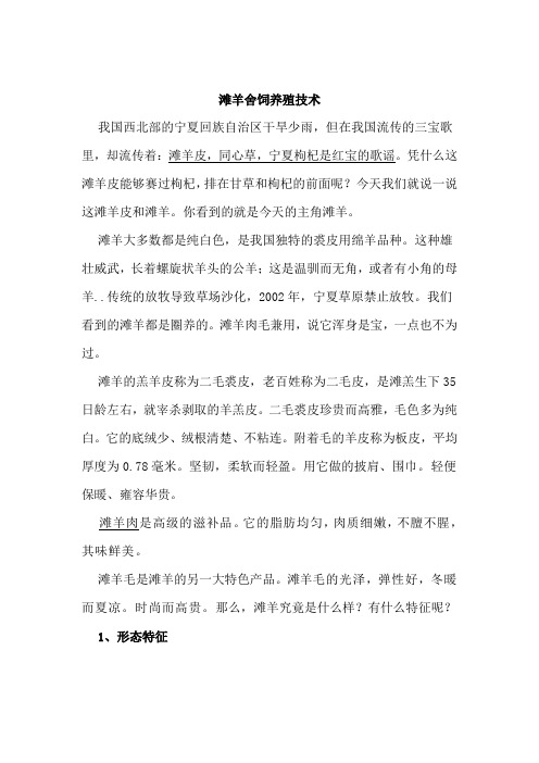 滩羊舍饲养殖技术