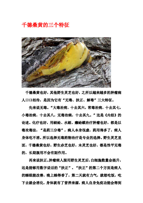 千德桑黄有哪些特征