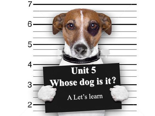 新PEP五年级英语下册Unit_5_Whose_dog_is_it_(A)_Let's_learn