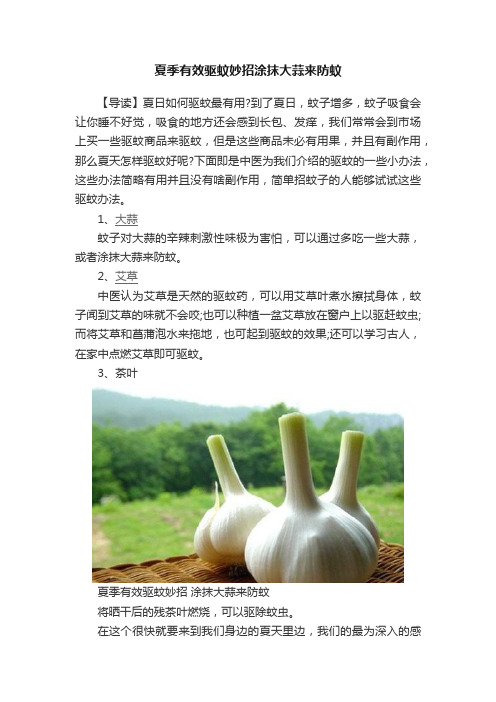 夏季有效驱蚊妙招涂抹大蒜来防蚊
