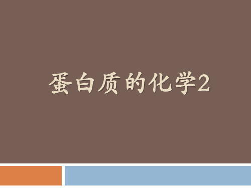 蛋白质分子的一级结构