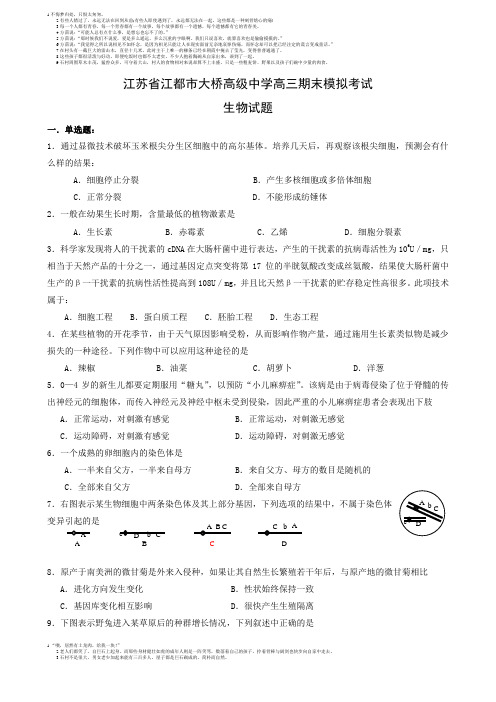 江苏省江都市大桥高级中学高三期末模拟考试生物试题