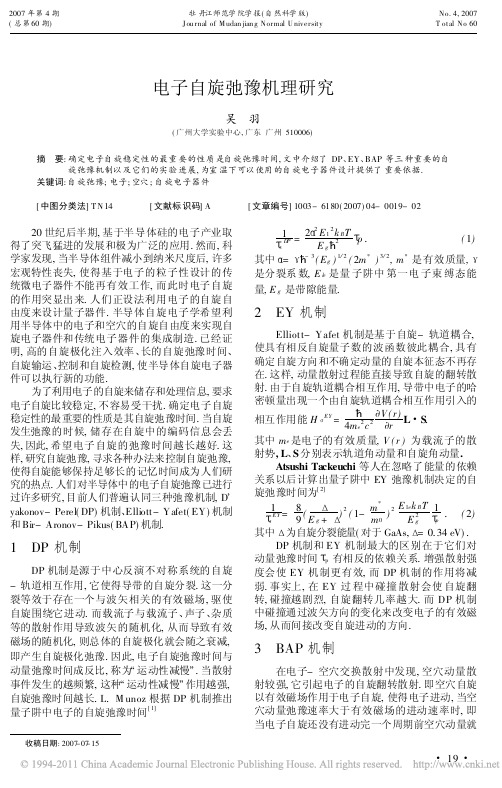 电子自旋弛豫机理研究