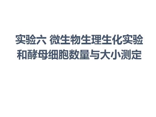 微生物生理生化和酵母细胞大小的测定