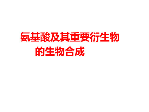 氨基酸及其重要衍生物的生物合成2010ppt课件