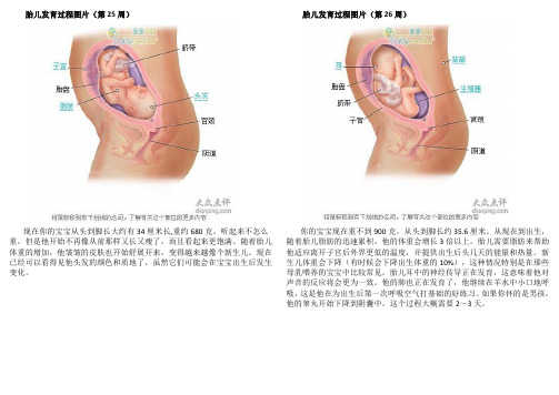 准妈妈第七月