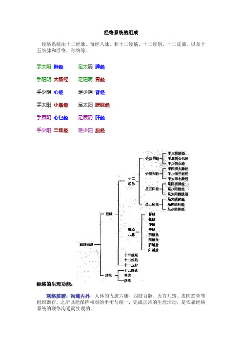 经络系统的组成