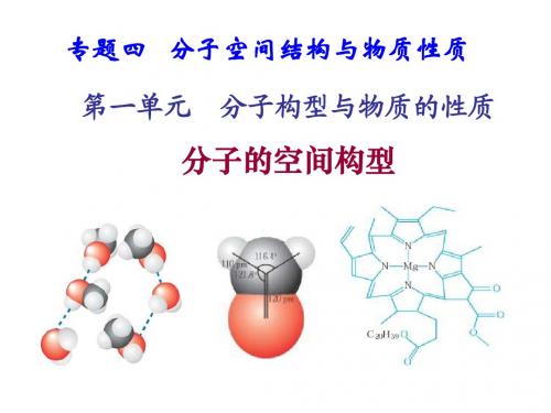 分子的空间构型
